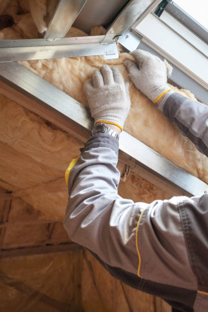 Best Types of Insulation in Fremont, OH