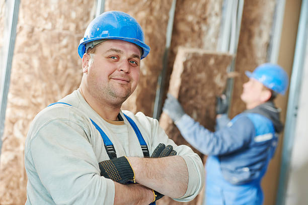 Best Insulation Installation Services in Fremont, OH